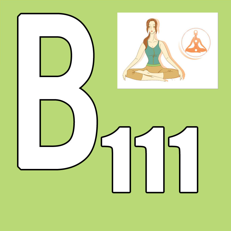 Hot Sale Latest Release 2026.Q - đánh giá và giá Yoga Fitness Group