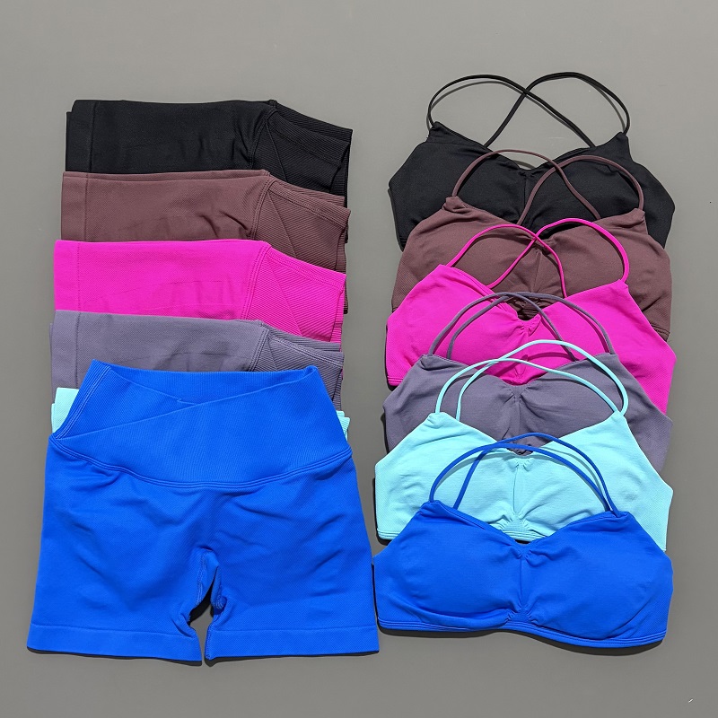 2 Piece Vision Gym Set Women Y - đánh giá và giá Yoga Fitness Outfit